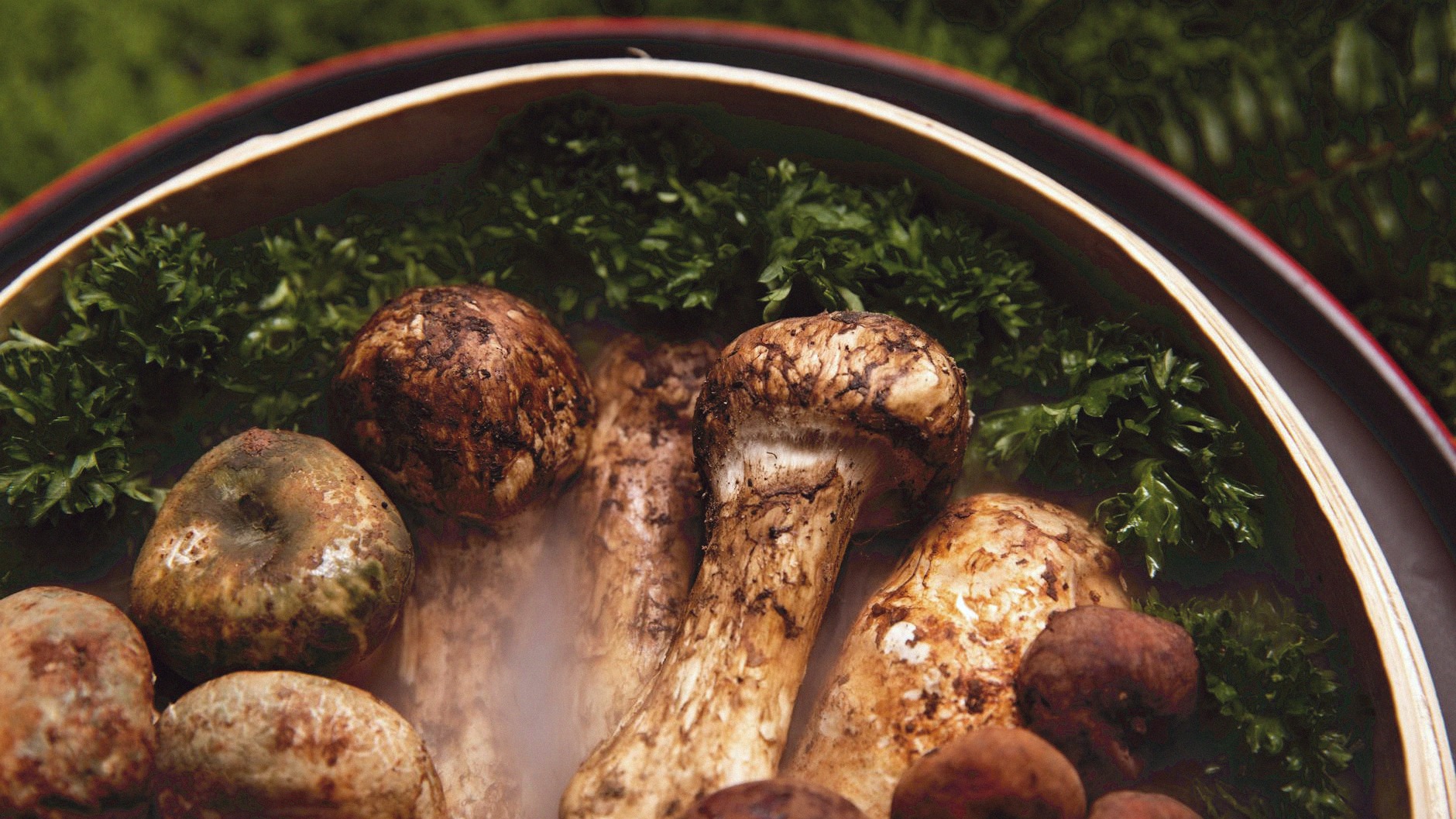 What “Shun” Means — Japan’s Seasonal Eating Concept, Explained